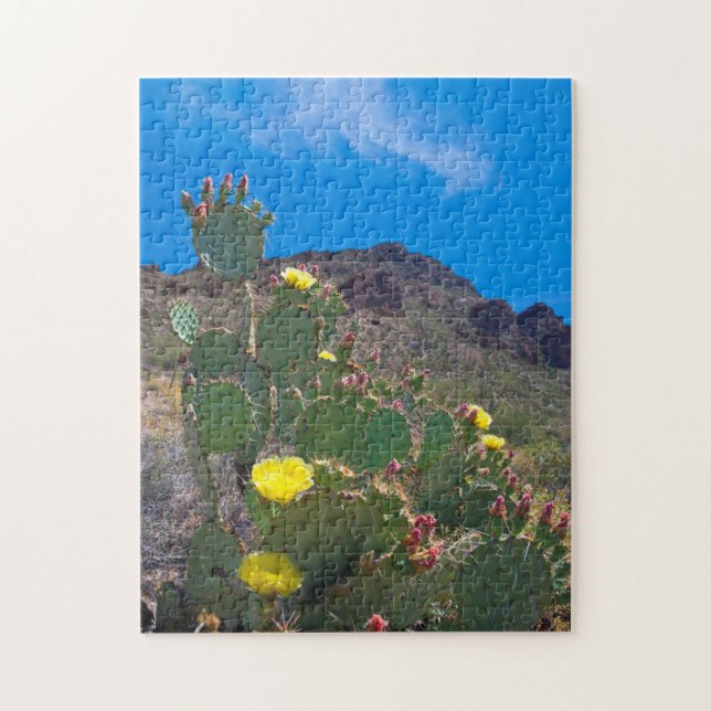 USA, Arizona. Kaktus i kullarna Pussel (Vertikal)