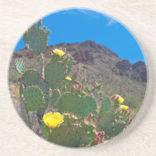 USA, Arizona. Kaktus i kullarna Underlägg