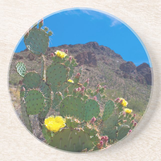 USA, Arizona. Kaktus i kullarna Underlägg (Framsidan)