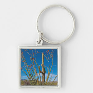 USA, Arizona. Kaktus i Saguaro nationalpark Fyrkantig Silverfärgad Nyckelring