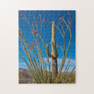 USA, Arizona. Kaktus i Saguaro nationalpark Pussel