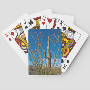USA, Arizona. Kaktus i Saguaro nationalpark Spel Kort