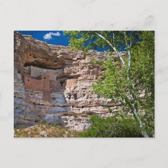 USA, Arizona. Montezuma Castle, Ruinerna Vykort (Framsida)