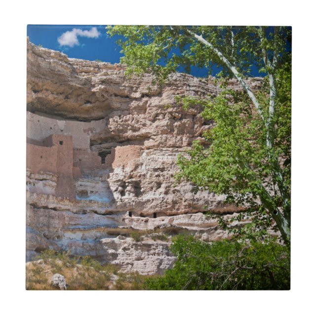 USA, Arizona. Montezuma slott, Ruinerna Kakelplatta (Framsidan)