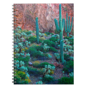 USA, Arizona. Ökenflora Anteckningsbok Med Spiral