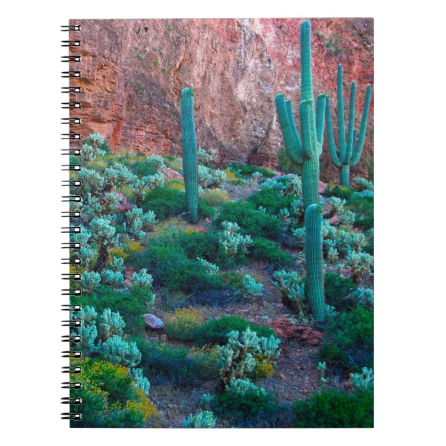 USA, Arizona. Ökenflora Anteckningsbok Med Spiral (Framsidan)