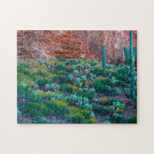USA, Arizona. Ökenflora Pussel