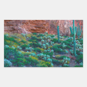 USA, Arizona. Ökenflora Rektangulärt Klistermärke