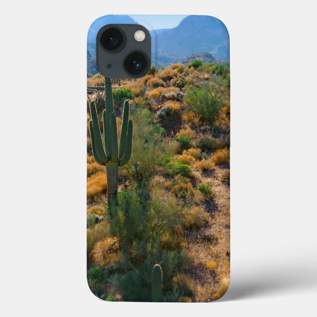 USA, Arizona. Ökenvy (Baksida)