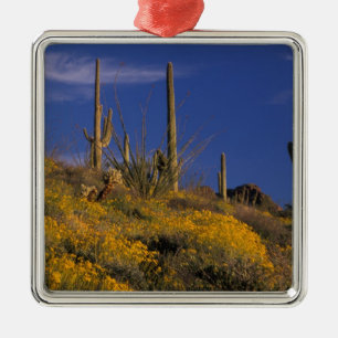 USA, Arizona, Organ Pipe Cactus National 2 Julgransprydnad Metall