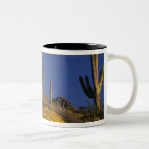 USA, Arizona, Organ Pipe Cactus National 2 Två-Tonad Mugg