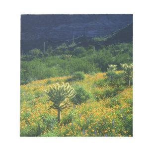 USA, Arizona, Organ Pipe Cactus National Anteckningsblock