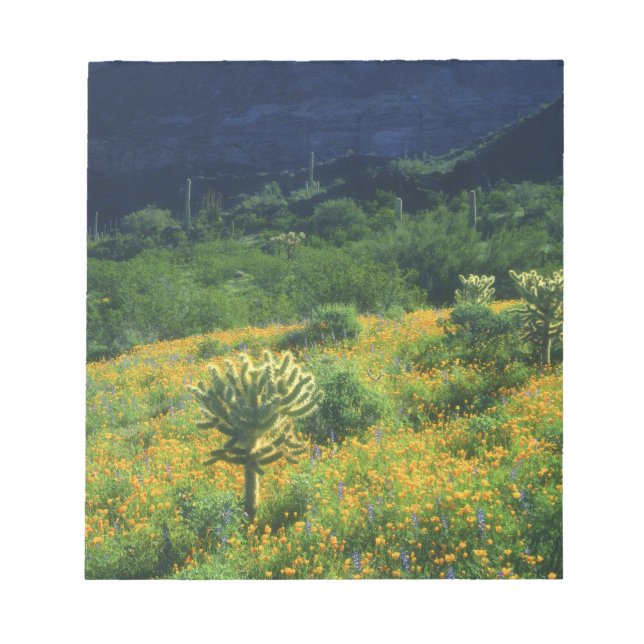 USA, Arizona, Organ Pipe Cactus National Anteckningsblock (Framsida)