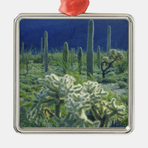 USA, Arizona, Organ Pipe Cactus National Julgransprydnad Metall