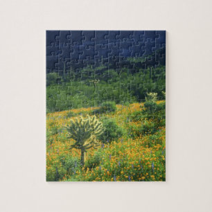 USA, Arizona, Organ Pipe Cactus National Pussel
