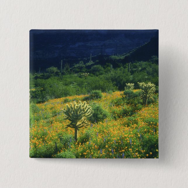 USA, Arizona, Organ Pipe Cactus Nationalpark Knapp (Framsida)