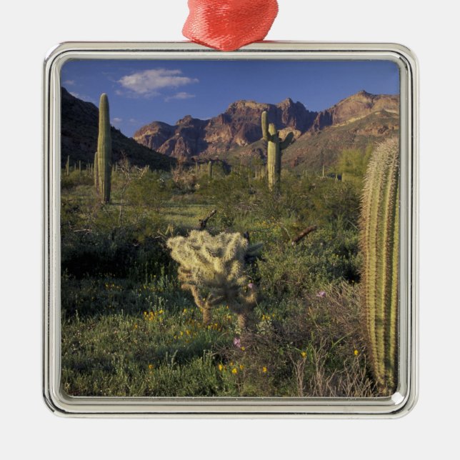 USA, Arizona, Organ Pipe National Monument. Julgransprydnad Metall (Framsidan)
