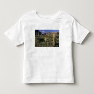 USA, Arizona, Organ Pipe National Monument. Tee Shirt