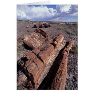 USA, Arizona, Petrified Forest National Park, 2 Hälsningskort