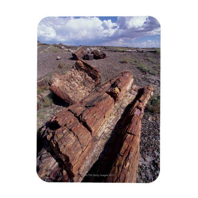 USA, Arizona, Petrified Forest National Park, 2 Magnet (Vertikal)