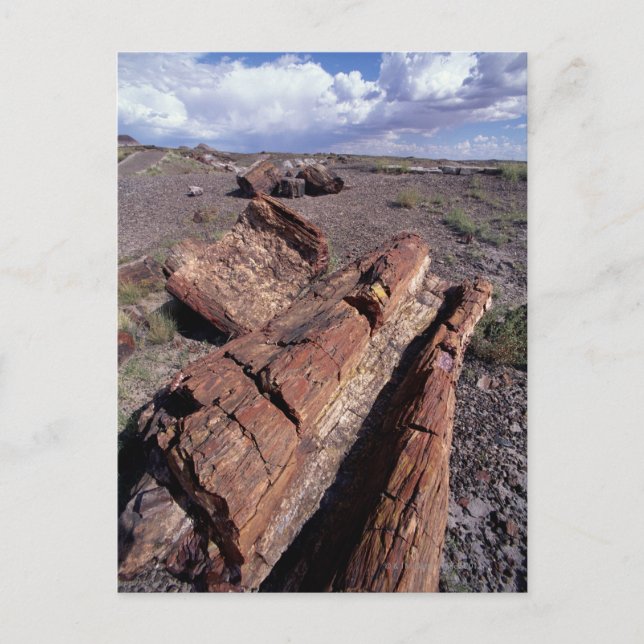 USA, Arizona, Petrified Forest National Park, 2 Vykort (Framsida)