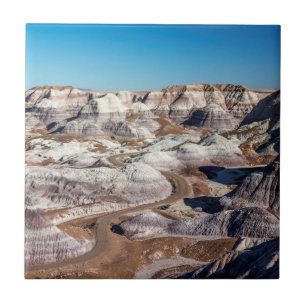 USA, Arizona, Petrified Forest nationalpark Kakelplatta