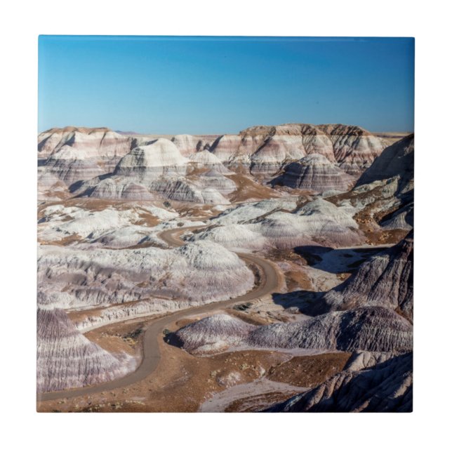 USA, Arizona, Petrified Forest nationalpark Kakelplatta (Framsidan)