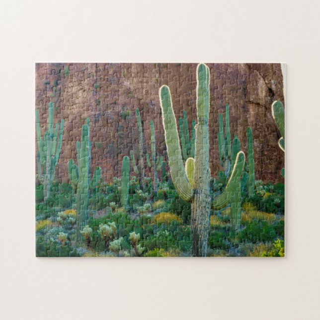 USA, Arizona. Saguaro Cactus Fält av en Cliff Pussel (Horisontell)