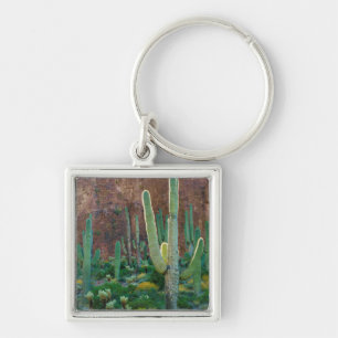 USA, Arizona. Saguaro-kaktusfält vid en klippa Fyrkantig Silverfärgad Nyckelring