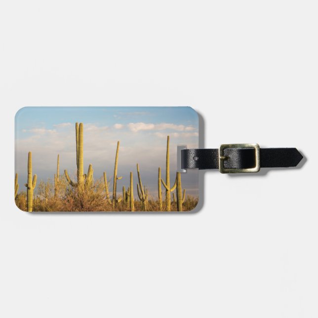USA, Arizona, Saguaro National Park, Saguaro Bagagebricka (Horisontell Framsida)