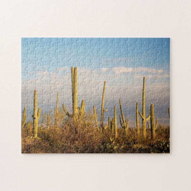 USA, Arizona, Saguaro National Park, Saguaro Pussel (Horisontell)