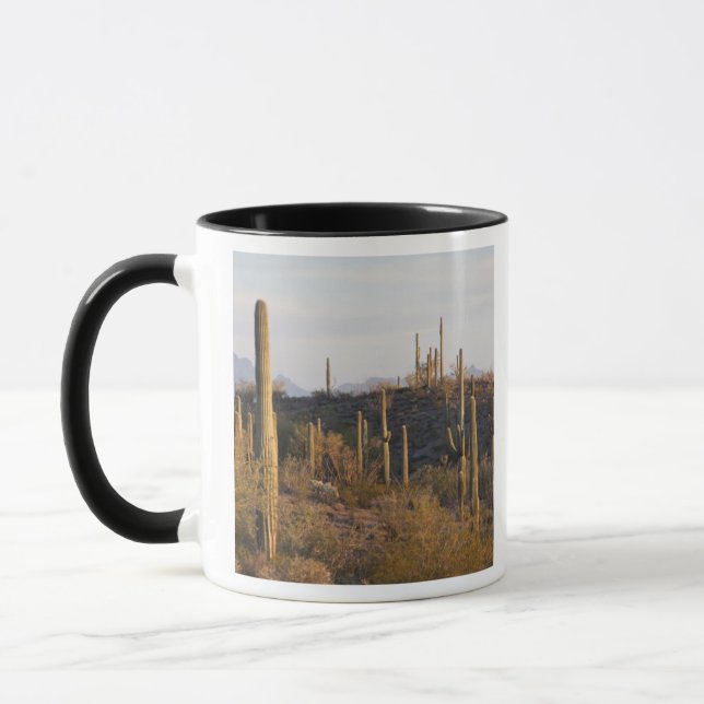 USA, Arizona, Sonoran Desert, Ajo, Ajo 2 Mugg (Vänster)