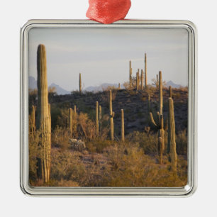 USA, Arizona, Sonoraöken, Ajo, Ajo 2 Julgransprydnad Metall