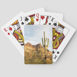 USA, Arizona, Tonto National Forest, Picketpost 2 Casinokort