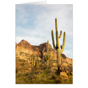 USA, Arizona, Tonto National Forest, Picketpost 2 Hälsningskort