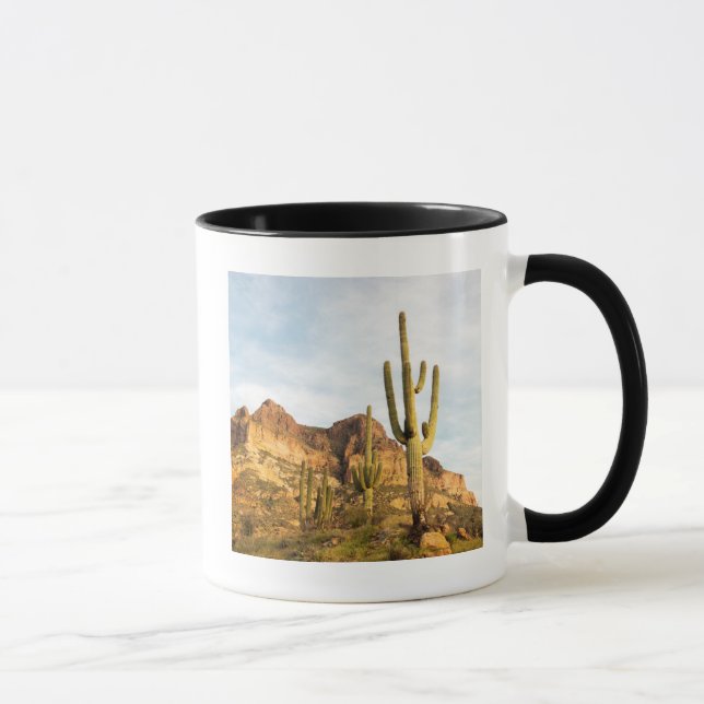 USA, Arizona, Tonto National Forest, Picketpost 2 Mugg (Höger)