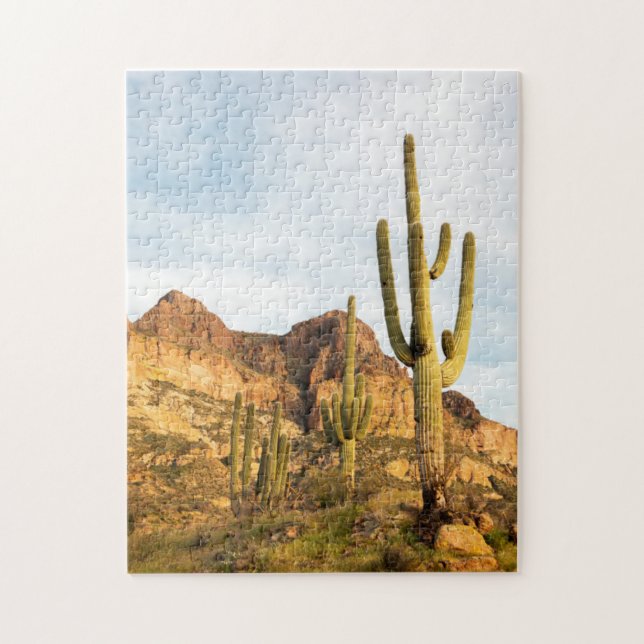 USA, Arizona, Tonto National Forest, Picketpost 2 Pussel (Vertikal)