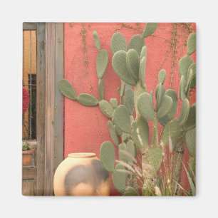 USA, Arizona, Tucson: Presidio historiskt distrikt Magnet