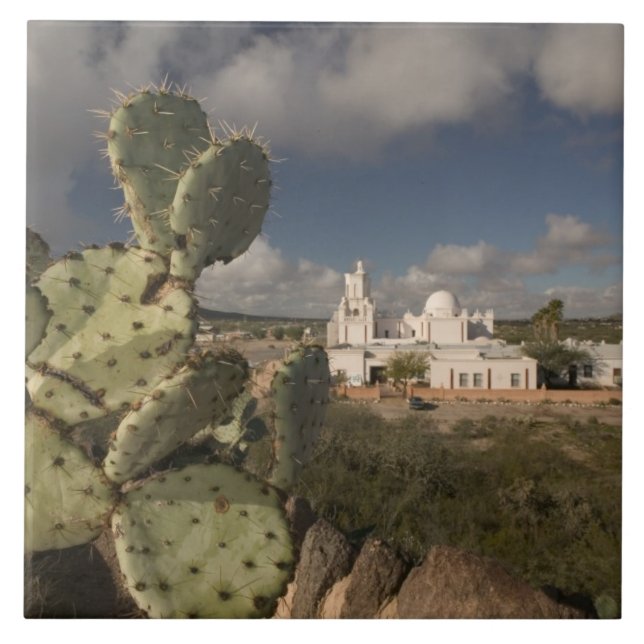 USA, Arizona, Tucson: Uppdrag San Xavier del Bac 2 Kakelplatta (Framsidan)