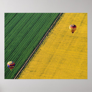 USA, Arizona, Val Vista. Varmt luftballonger sväva Poster