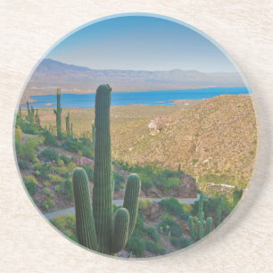 USA, Arizona. Vy från ingången till Tonto Underlägg