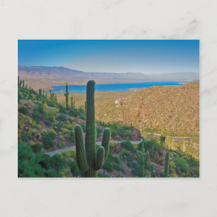 USA, Arizona. Vy från ingången till Tonto Vykort