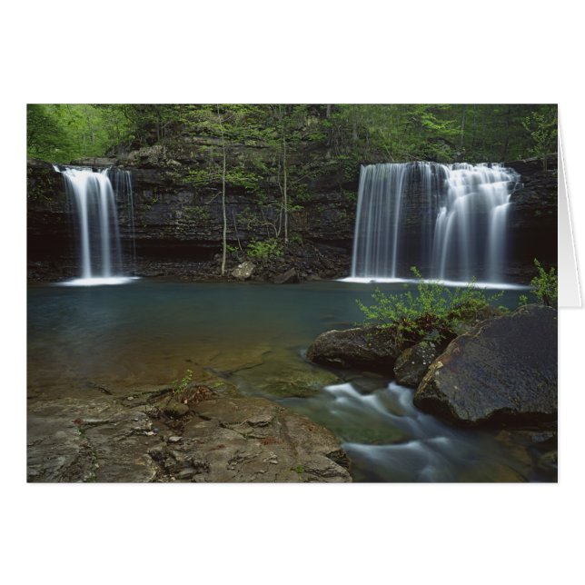 USA, Arkansas, Ozark-St Francis National Hälsningskort (Framsidan Horizontal)