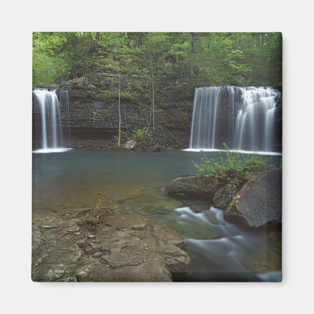 USA, Arkansas, Ozark- St Francis National Magnet (Framsidan)