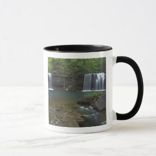 USA, Arkansas, Ozark-St Francis National Mugg