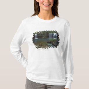 USA, Arkansas, Ozark-St Francis National T Shirt