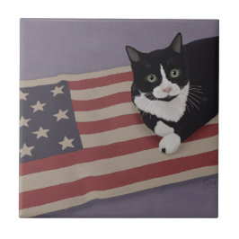 USA Cat Kakelplatta
