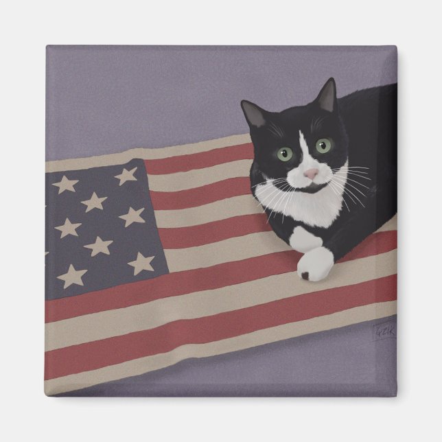 USA Cat Magnet (Framsidan)