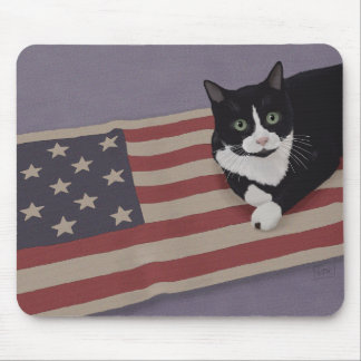 USA Cat Musmatta