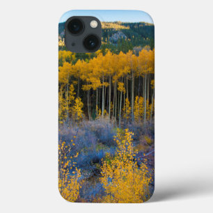 USA, Colorado. Aspen i Gult i raketer